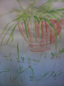 painting photo spider plant