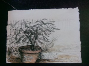 painting haslach's potted plant